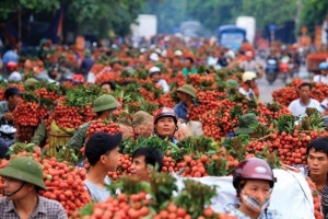Giao các Cục Quản lý thị trường hỗ trợ tiêu thụ nông sản