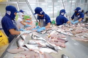 Xuất khẩu cá tra tăng 8,9% so với cùng kỳ