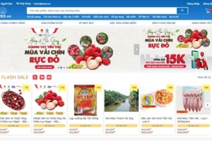 Vĩnh Phúc sẽ tiêu thụ 26 tấn vải thiều Bắc Giang qua sàn thương mại điện tử