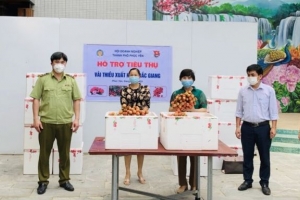 Cục Quản lý thị trường Vĩnh Phúc hỗ trợ tiêu thụ 50 tấn vải thiều Bắc Giang trong mùa dịch