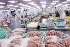 Trung Quốc tạm ngừng nhập khẩu thực phẩm đông lạnh từ Việt Nam tại cảng Trạm Giang