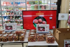 Vải thiều Thanh Hà bán giá nửa triệu đồng/kg tại Pháp