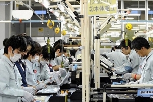 8 doanh nghiệp bị loại khỏi danh sách phái cử thực tập sinh sang Nhật Bản