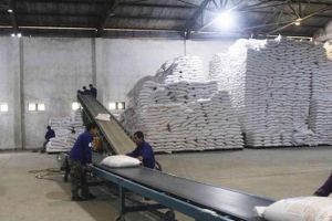 Năm 2021, đấu giá hạn ngạch thuế quan nhập khẩu 108.000 tấn đường