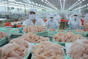 Cá tra Việt Nam được áp mức thuế chống bán phá giá tích cực