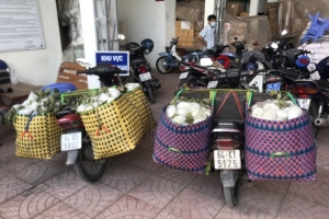 Vĩnh Long: Liên tiếp phát hiện nhiều vụ vận chuyển thuốc lá điếu ngoại nhập lậu