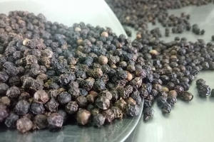 Giá tiêu ngày 7/7: Trong nước giao dịch ở mức 72.000 – 75.500 đ/kg