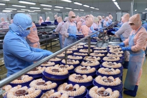 Hàng hóa nào được miễn chứng từ chứng nhận xuất xứ theo EVFTA?