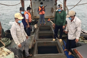 Cảnh sát biển bắt giữ tàu vỏ gỗ vận chuyển 50.000 lít dầu DO không có hóa đơn chứng từ