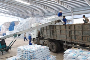 Việt Nam xuất khẩu 663.073 tấn phân bón trong 6 tháng đầu năm 2021