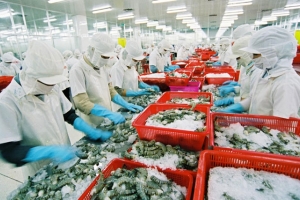 Xuất khẩu tôm đối mặt với một số thách thức mới