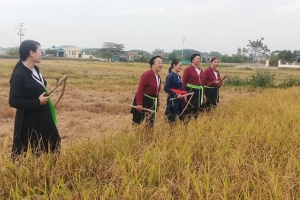 Huyện Vân Đồn (Quảng Ninh): Bảo tồn, phát triển văn hóa truyền thống dân tộc Sán Dìu