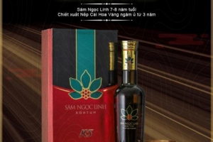 Kon Tum: Cấp giấy chứng nhận đăng ký nhãn hiệu thương hiệu sâm Ngọc Linh và 10 loại sản phẩm khác