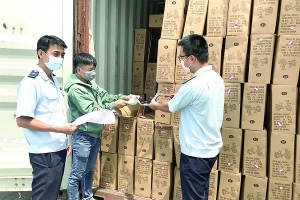 Cục Hải quan Thành phố Hồ Chí Minh: Áp dụng nhiều phương án hỗ trợ doanh nghiệp
