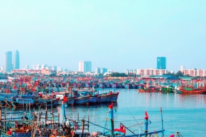 Đà Nẵng: Cho phép các tàu cá, được cập cảng cá Thọ Quang, mỗi tàu chỉ để lại một thuyền viên