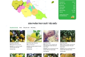 Xây dựng thương hiệu bưởi Phúc Trạch, Hà Tĩnh, hướng tới các kênh tiêu thụ bền vững