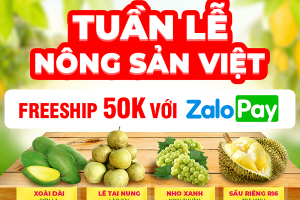Đẩy mạnh hỗ trợ hàng Việt lên sàn thương mại điện tử