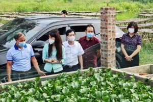 Lạng Sơn: Đề nghị tháo gỡ khó khăn đối với các hợp tác xã bị ảnh hưởng bởi dịch Covid-19