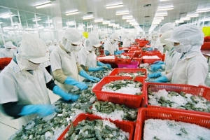 Bảo hộ thương hiệu, nâng cao năng lực canh tranh của doanh nghiệp Việt Nam trên thị trường quốc tế