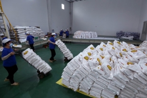 Hà Nội gửi tặng thành phố Hồ Chí Minh và Bình Dương 6.000 tấn gạo