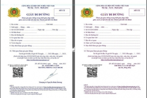 TP. Hồ Chí Minh đổi giấy đi đường mới từ 0h ngày 25/8