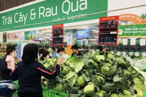 Các phương án cung ứng lương thực, thực phẩm thiết yếu cho TP.HCM và Bình Dương