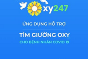 TP. HCM: Giới thiệu Ứng dụng hỗ trợ tìm giường Oxy cho bệnh nhân Covid 19 - App Oxy 247
