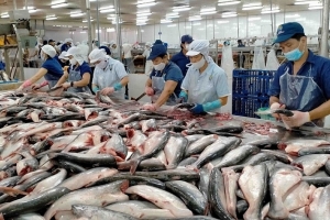 Hiệp hội Chế biến và Xuất khẩu thủy sản dự báo xuất khẩu thủy sản tiếp tục giảm trong tháng 9