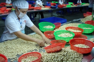 Xuất khẩu nông sản sang thị trường Anh cần lưu ý những gì?
