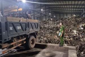 Quảng Ninh: Tiêu hủy hơn 35.000 con giống gia cầm nhập lậu