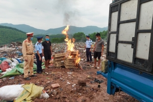Quảng Ninh: Tiếp tục phát hiện hàng nghìn con gia cầm không rõ nguồn gốc xuất xứ