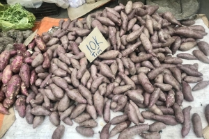 Vĩnh Long: Hàng nghìn tấn rau củ, trái cây đang cần được “giải cứu”