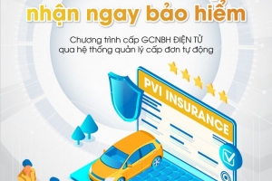 Bảo hiểm PVI: Dẫn đầu thị trường trên mọi chỉ tiêu tài chính