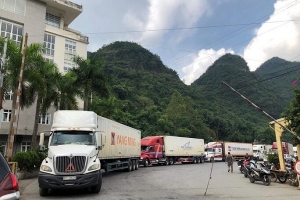 Quảng Ninh: Xét nghiệm SARS-CoV-2 đối với hàng hóa và phương tiện tại cửa khẩu Móng Cái