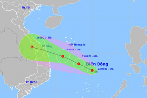 Dự báo đường đi của vùng áp thấp trên Biển Đông