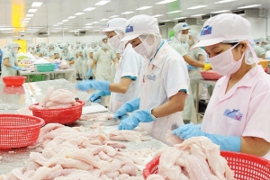 Tháng 8, xuất khẩu cá tra sụt giảm do ảnh hưởng của dịch Covid-19