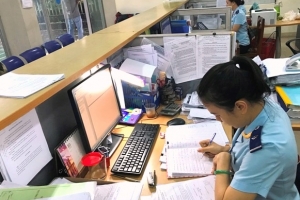 Hải quan Đà Nẵng: Vượt dự toán thu ngân sách gần 2%