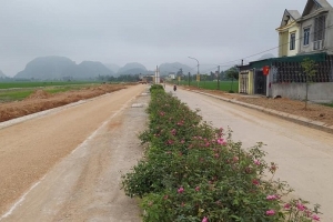 Thanh Hóa ban hành quy định mới về đấu giá quyền sử dụng đất
