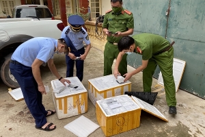 Lạng Sơn: Tạm giữ hàng nghìn linh kiện điện thoại không rõ nguồn gốc xuất xứ