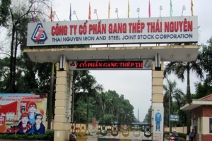 Cty CP Gang Thép Thái Nguyên (TISCO): Lợi nhuận trước thuế đạt gấp gần 3 lần so với kế hoạch