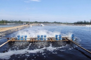 Bộ Tài chính đề xuất miễn phí thẩm định đề án xả nước thải vào nguồn nước