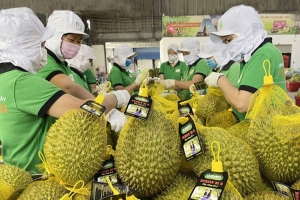 Quảng bá thương hiệu, phát triển thị trường tại Australia