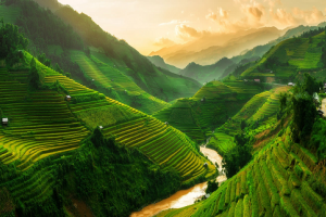 “Ngày Việt Nam tại Thụy Sỹ năm 2021” hé lộ những điểm không thể bỏ lỡ ở Việt Nam