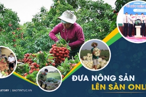 Đắk Lắk: Hỗ trợ đưa hộ sản xuất nông nghiệp lên sàn thương mại điện tử