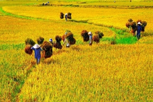 “Ngày Việt Nam tại Thuỵ Sỹ năm 2021” khám phá những điều thú vị khi du lịch Việt Nam