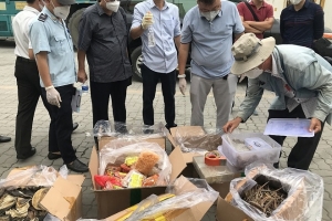 Hải quan TP. Hồ Chí Minh: Phát hiện lượng lớn hàng nhập lậu qua nghi vấn khai báo hải quan