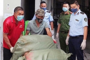 Hà Nội: Tiêu hủy 7 tấn nầm lợn không rõ nguồn gốc
