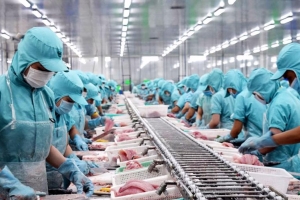 Vai trò của luật sư trong sự phát triển bền vững của doanh nghiệp