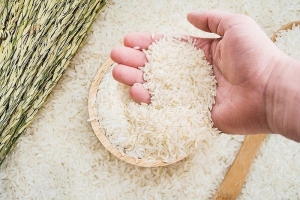 Philippines tiếp tục là thị trường dẫn đầu về tiêu thụ gạo của Việt Nam