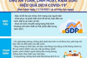 Trực tiếp Tọa đàm “Nghị quyết 128 - hướng tới bình thường mới”